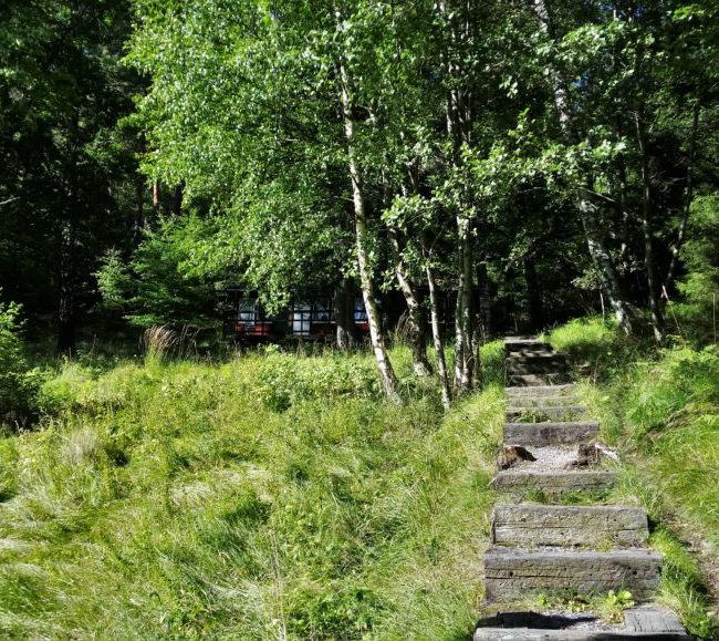 Solvik7-1030x579